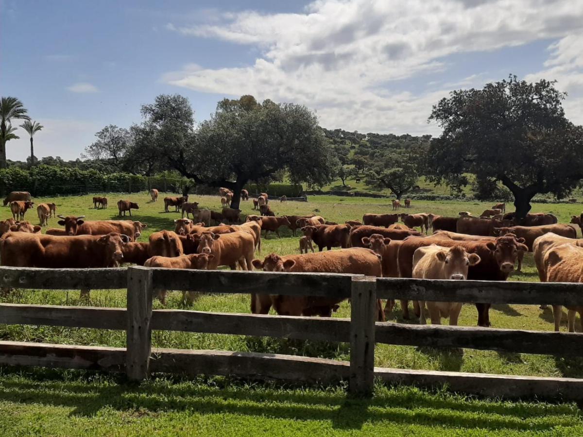 El Garrobo Alojamiento Rural Finca Barral מראה חיצוני תמונה