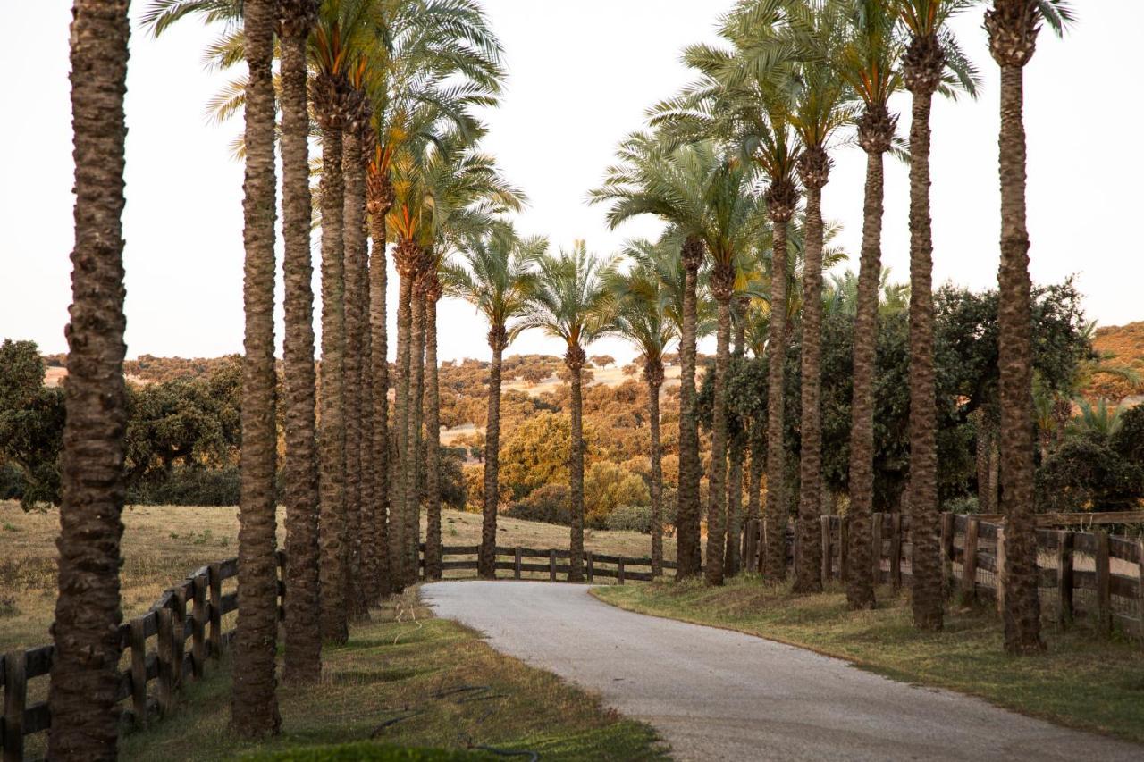 El Garrobo Alojamiento Rural Finca Barral מראה חיצוני תמונה