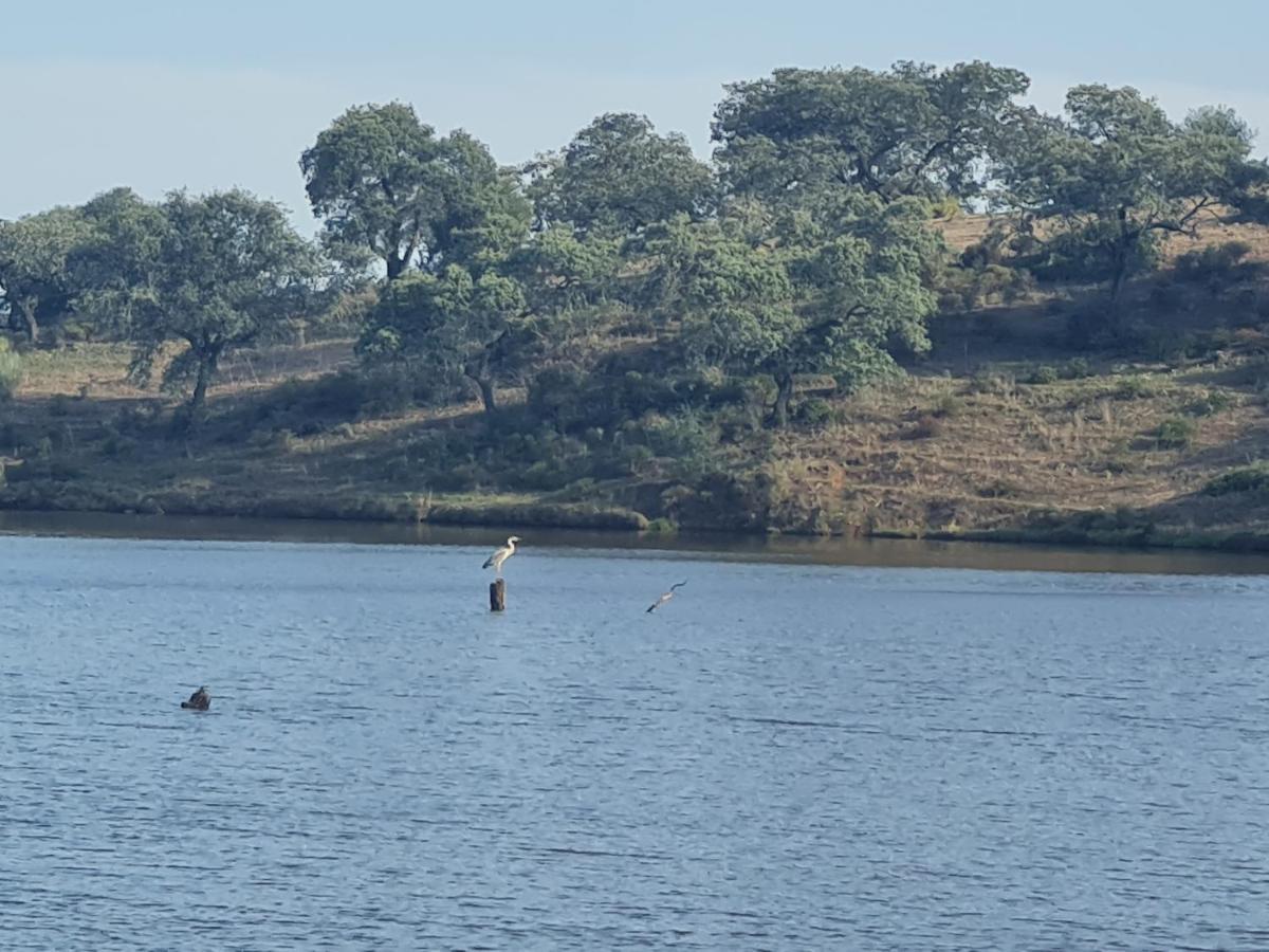 El Garrobo Alojamiento Rural Finca Barral מראה חיצוני תמונה