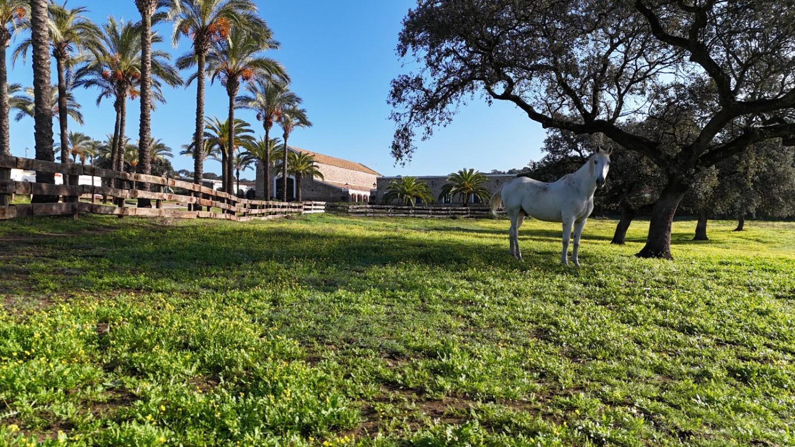 El Garrobo Alojamiento Rural Finca Barral מראה חיצוני תמונה