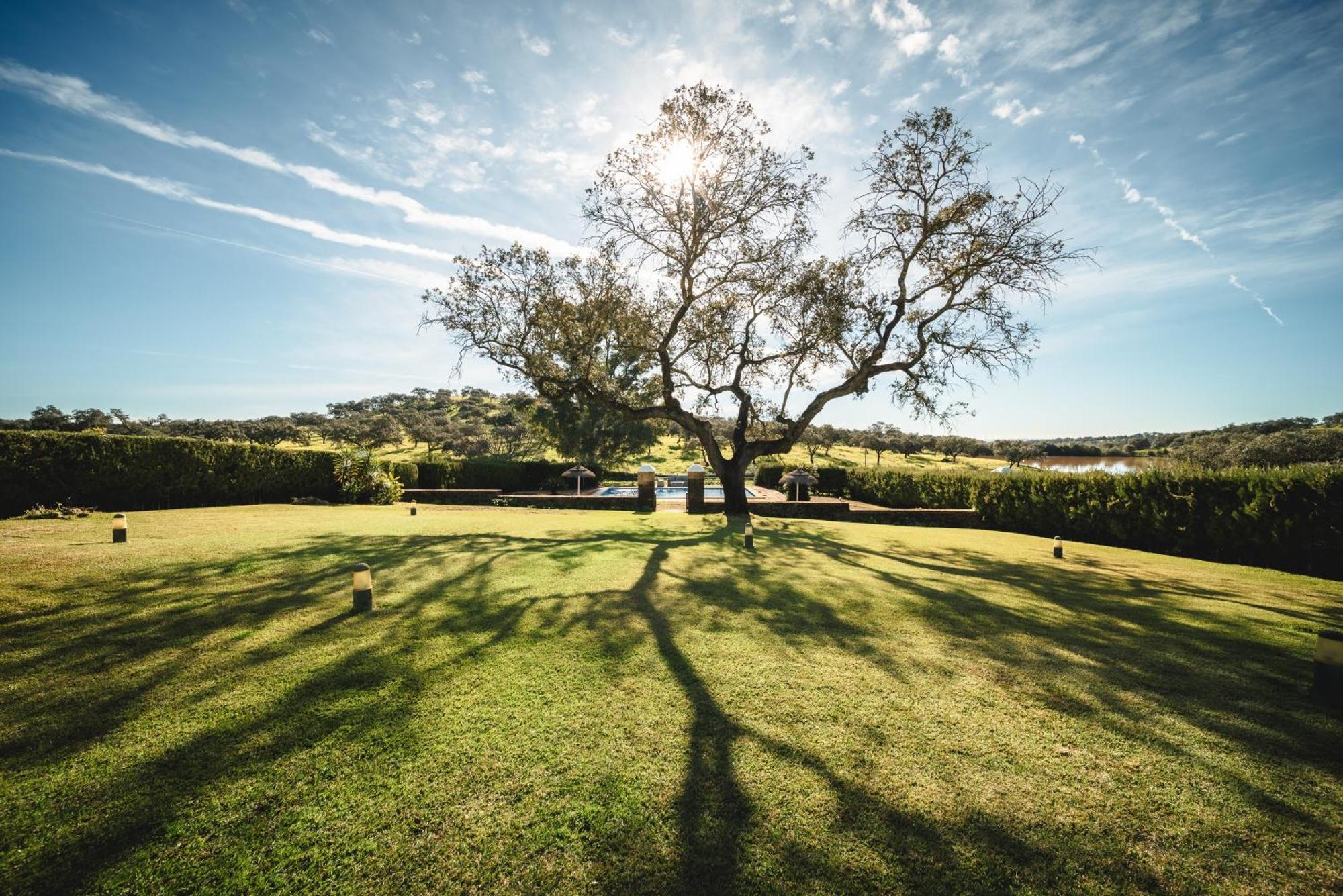 El Garrobo Alojamiento Rural Finca Barral מראה חיצוני תמונה