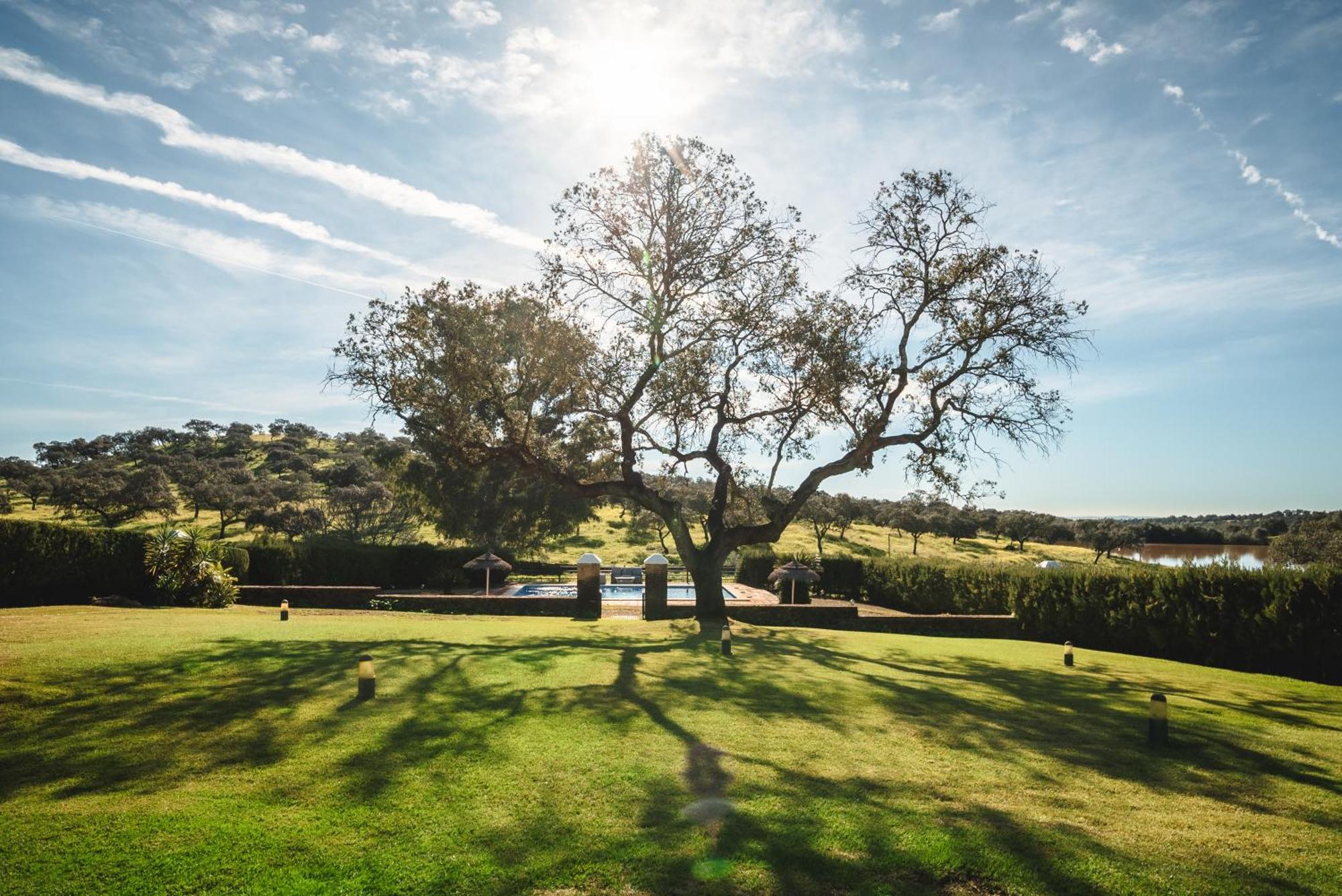 El Garrobo Alojamiento Rural Finca Barral מראה חיצוני תמונה