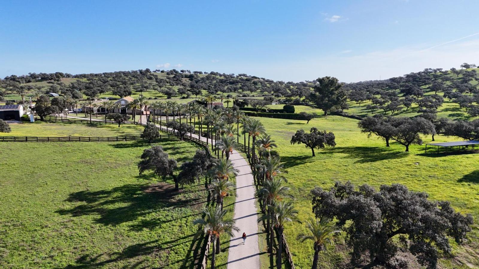 El Garrobo Alojamiento Rural Finca Barral מראה חיצוני תמונה