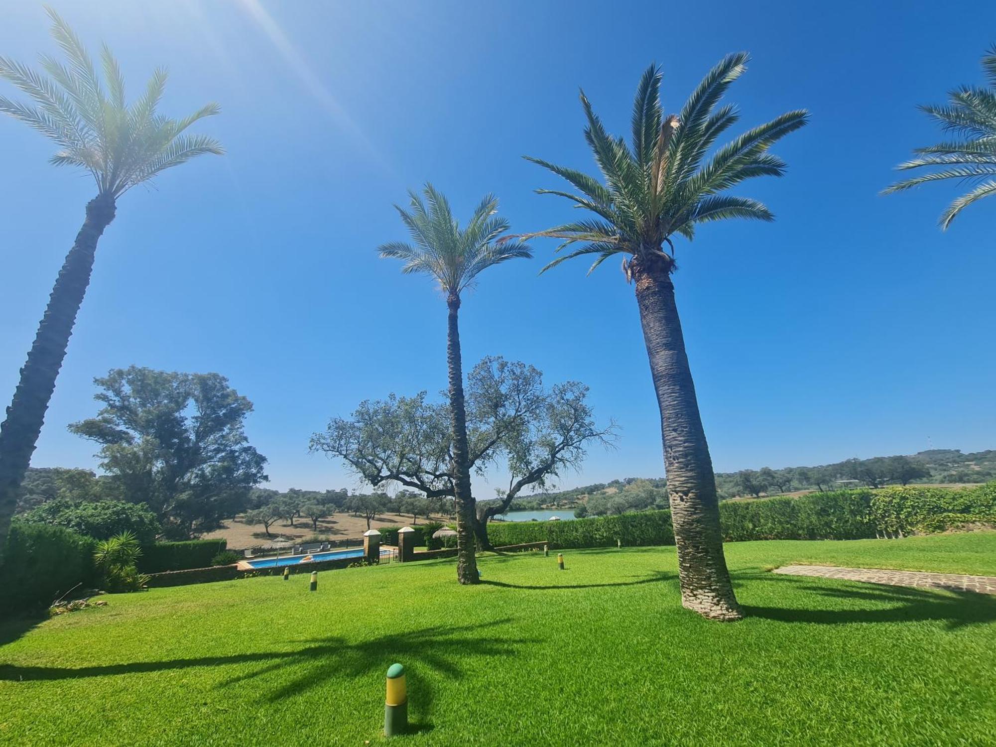 El Garrobo Alojamiento Rural Finca Barral מראה חיצוני תמונה