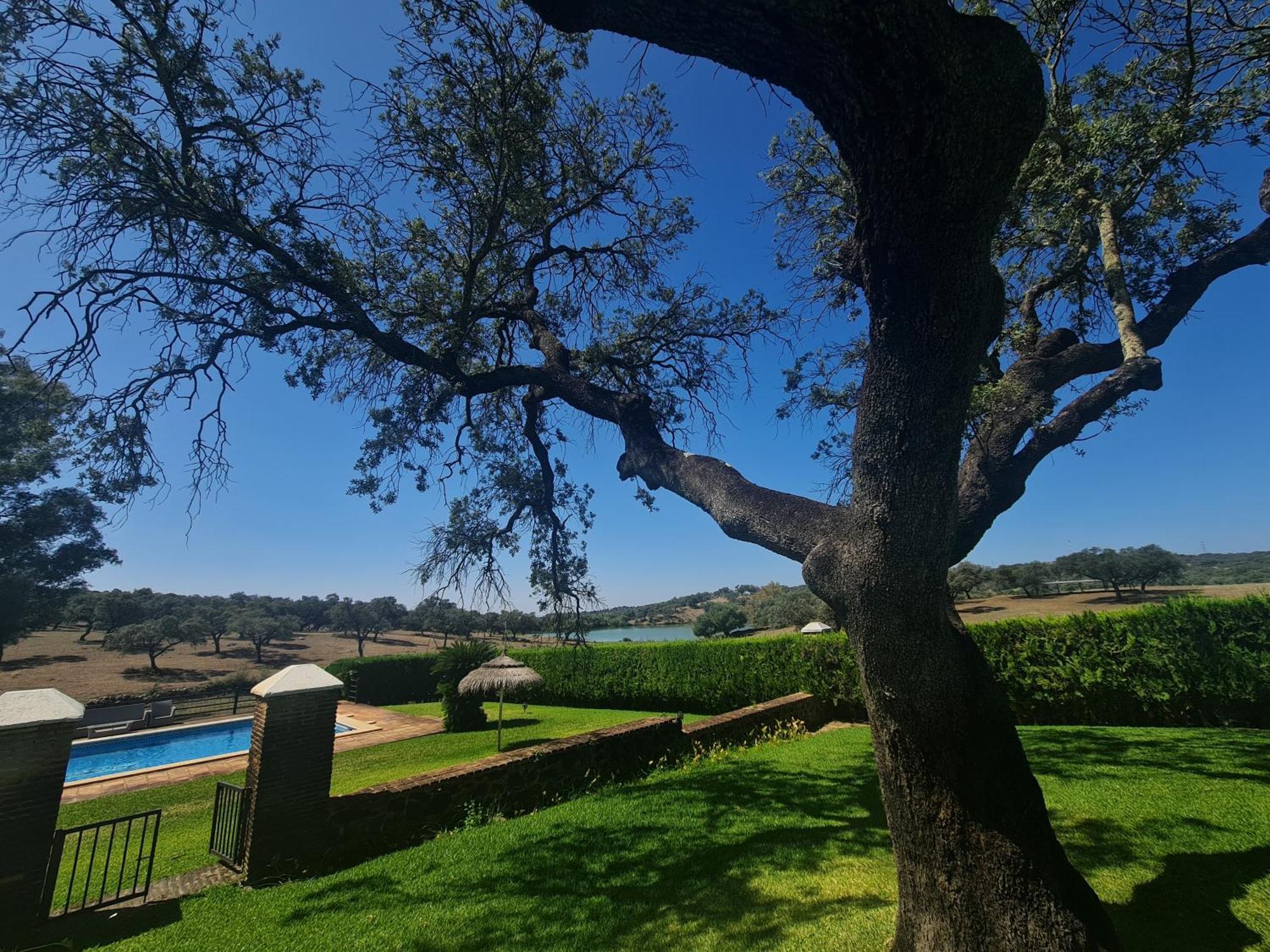El Garrobo Alojamiento Rural Finca Barral מראה חיצוני תמונה