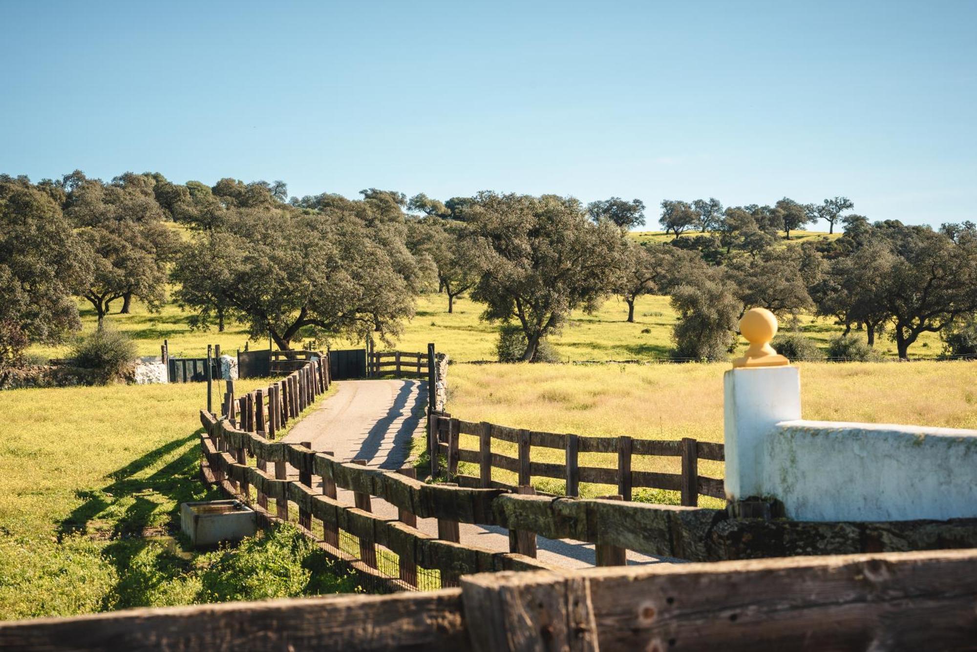 El Garrobo Alojamiento Rural Finca Barral מראה חיצוני תמונה
