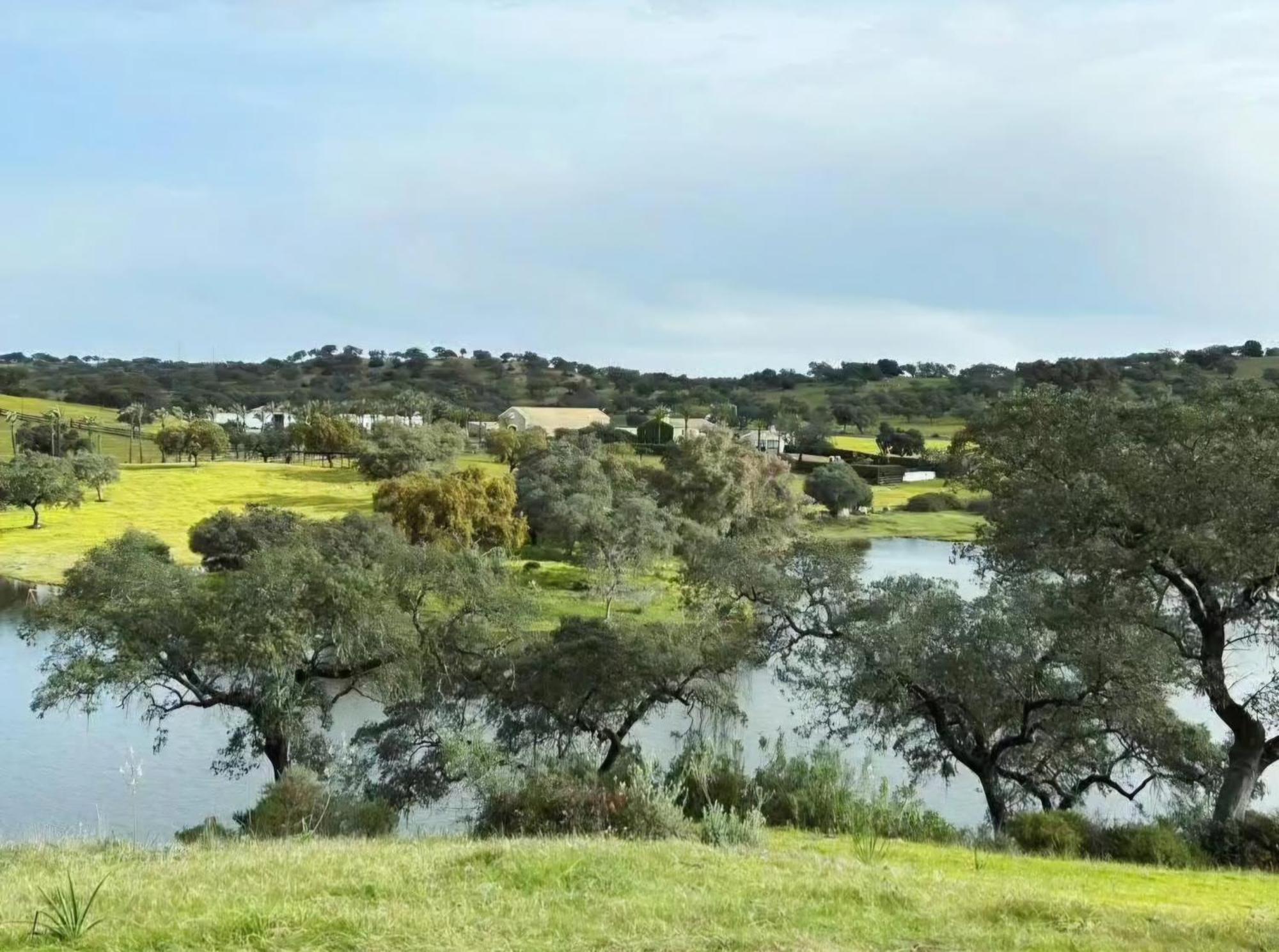 El Garrobo Alojamiento Rural Finca Barral מראה חיצוני תמונה