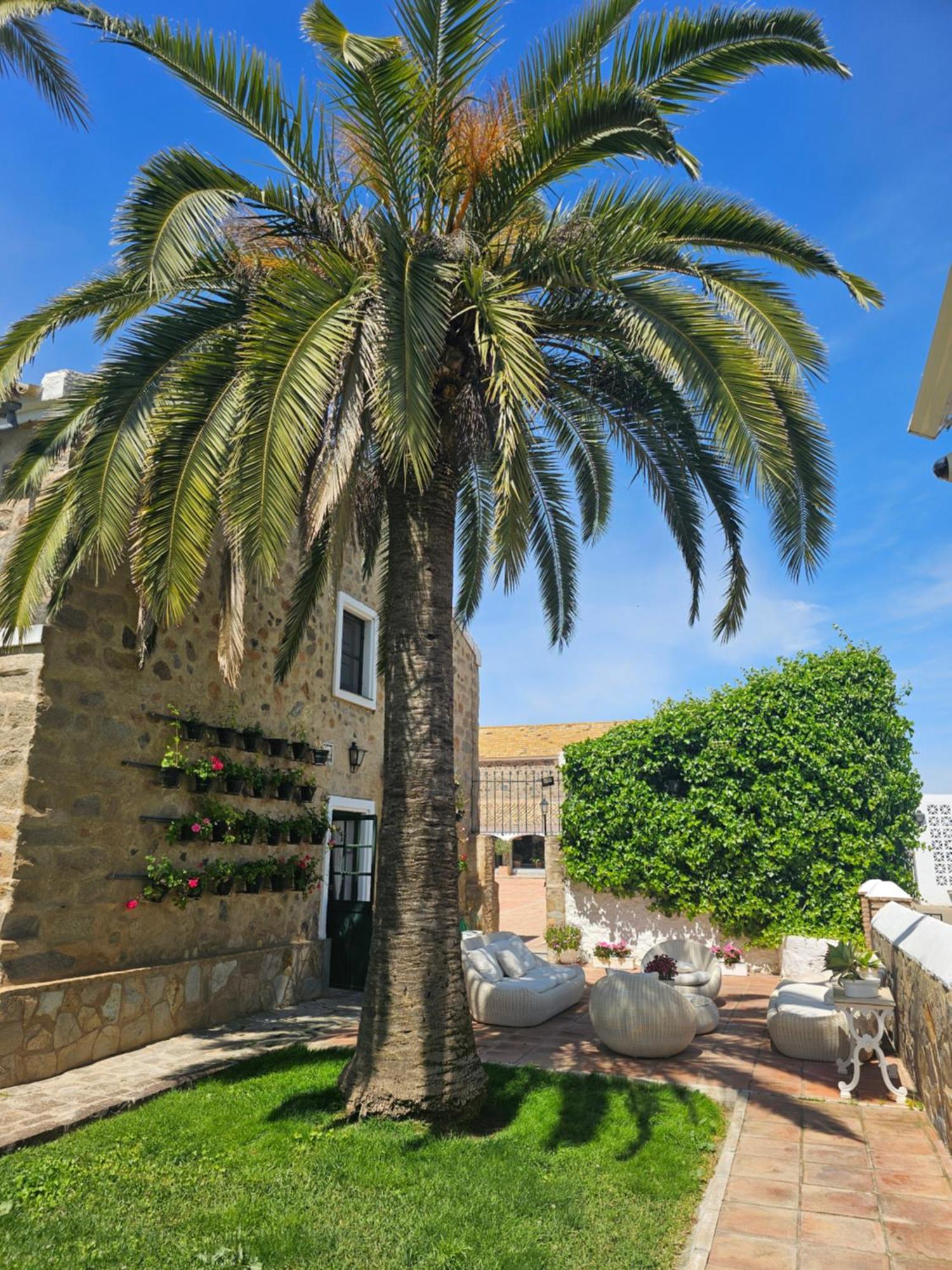 El Garrobo Alojamiento Rural Finca Barral מראה חיצוני תמונה